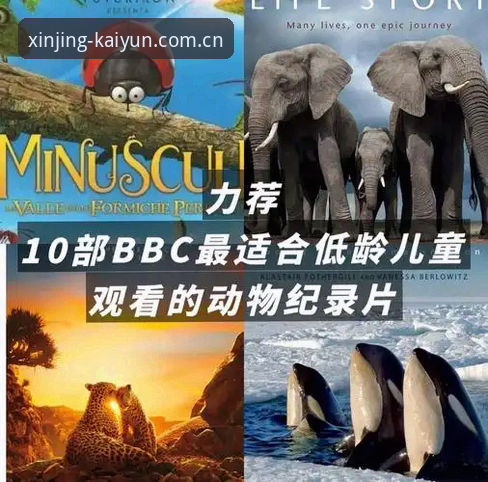 重塑品质新境赛事数据攻略 加雷斯·索斯盖特BBC纪录片深度评测:从“男性圈层”看年轻一代的生存法则